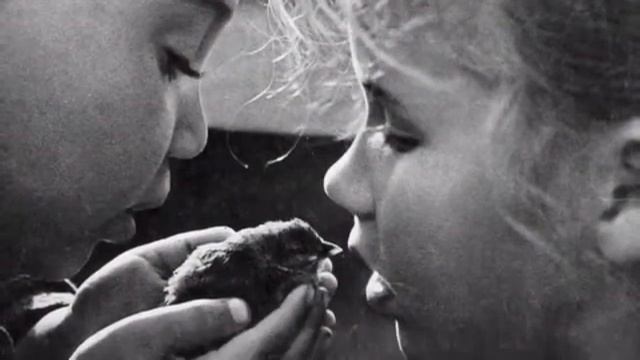 Мой кругозор Ю.Мориц,А.Суханов смотреть онлайн