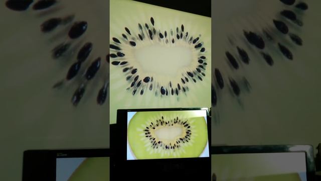 LED86+vs ASUS VG248QE смотреть онлайн