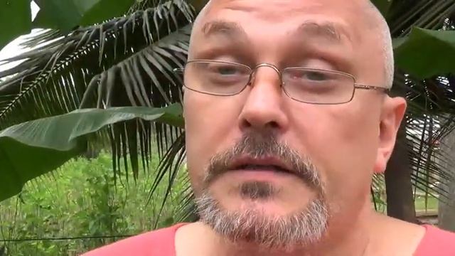 Старинные пальмовые листки. Предсказания о вашей жизни смотреть онлайн