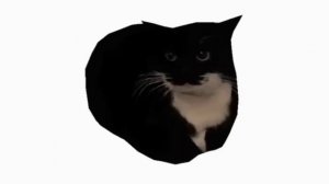 МАКСВЕЛЛ КЭТ 360 | MAXWELL CAT 360