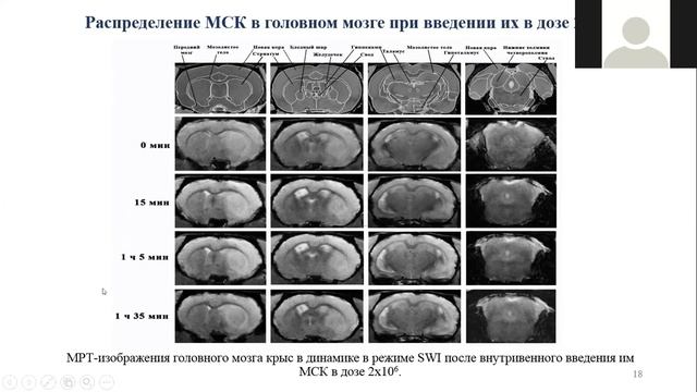Магистры ФЧЖ доклады 1-4