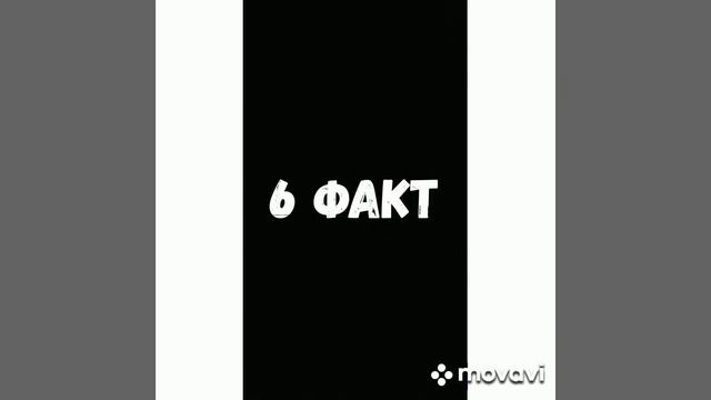 10 интересных фактов о курицах смотреть онлайн