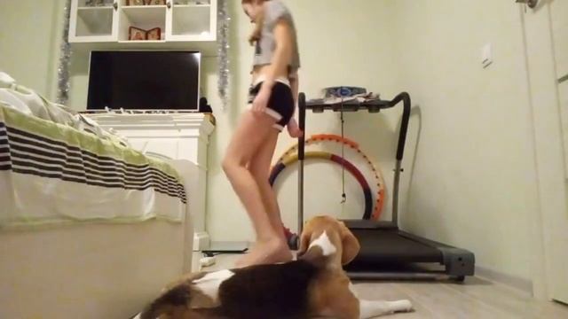 РЕАКЦИЯ СОБАКИ НА БЕГОВУЮ ДОРОЖКУ / УЧИМСЯ БЕГАТЬ НА ТРЕНАЖЕРЕ смотреть онлайн