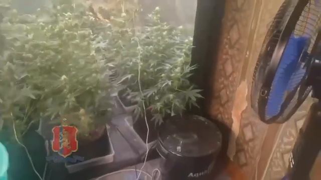 А вам Слабо!!! 😂 как вам такое произведения искусства!!!! смотреть онлайн
