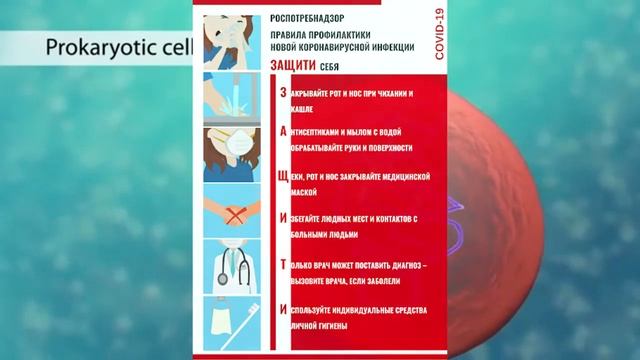 Классификация микроорганизмов и вирусов. Экология микроорганизмов #биологияегэ #гигеназдоровье смотреть онлайн