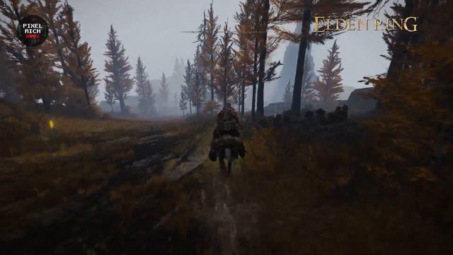 Raptor's Black Feathers - Elden Ring