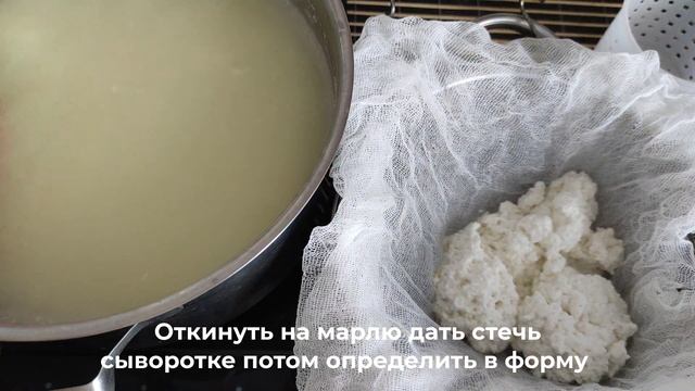 Адыгейский сыр из молока и сыворотки смотреть онлайн