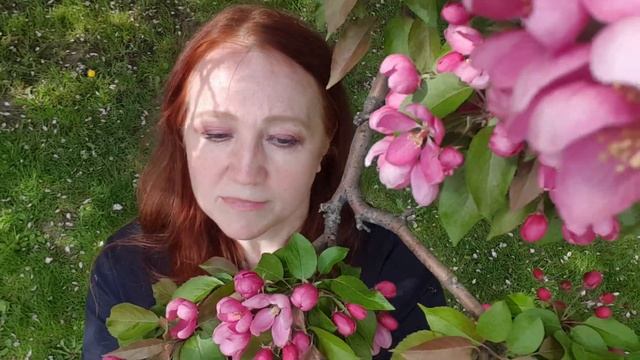 Семена Творения смотреть онлайн