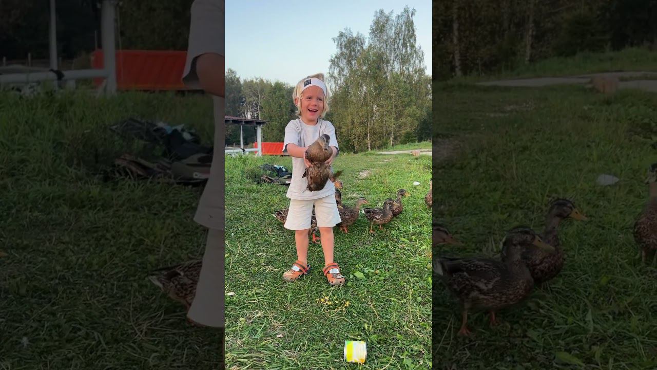 Наше 1 сентября: Все пошли в школу, а Сан Саныч поймал дикую утку смотреть онлайн