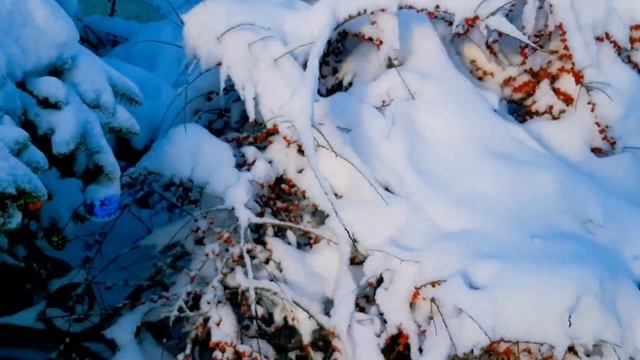 Переменчивый климат Крыма смотреть онлайн