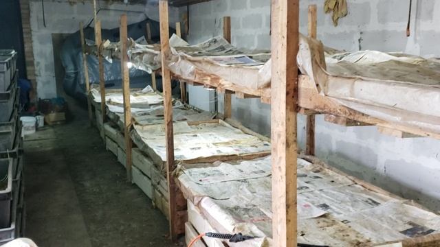 Разведение червей для рыбалки смотреть онлайн