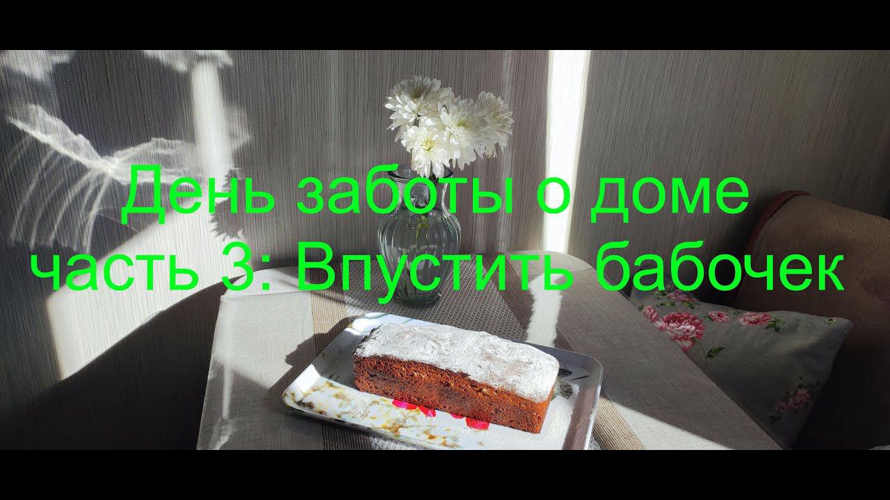 День заботы о доме часть 3. Впустить бабочек. смотреть онлайн