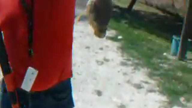 Вторая рыба смотреть онлайн