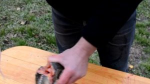 Уха из стерляди. Готовим на природе!