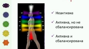 Биоэнергетика доступна каждому. Полная энергосистема человека