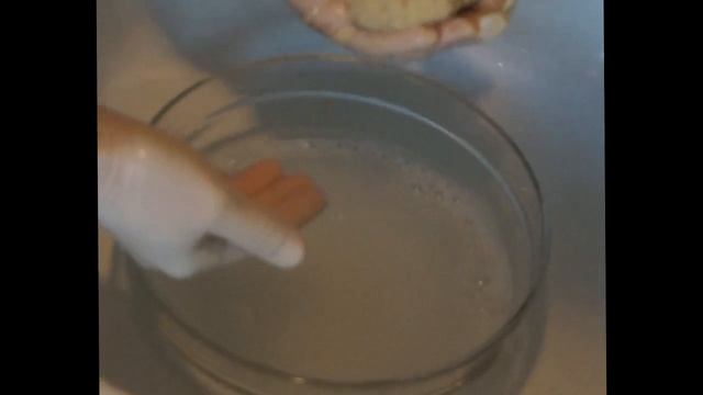 Вегетарианские Блюда и Гастрономия