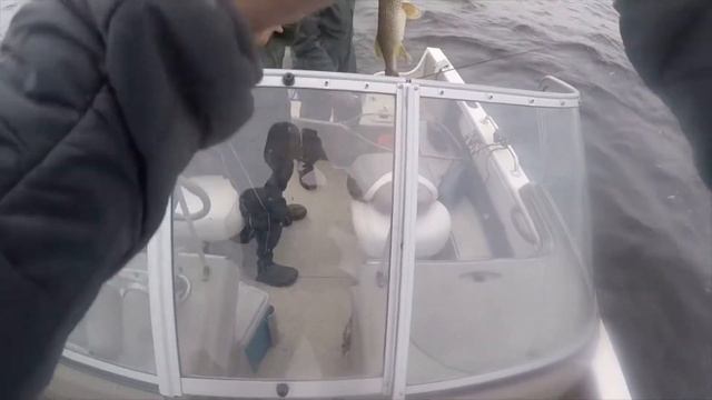 Рыбалка на ОГРОМНЫХ ЩУК на РЫБИНСКОМ ВОДОХРАНИЛИЩЕ сезон 2020 смотреть онлайн