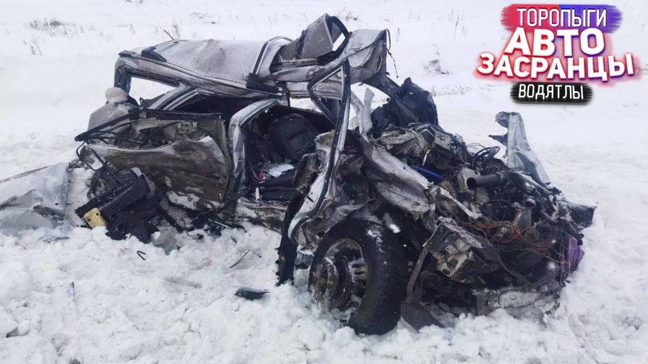 Ёлки моталки! Торопыги Зимний Сезон смотреть онлайн