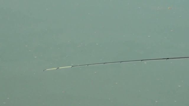 Чемпионат СК фидер 2014 смотреть онлайн