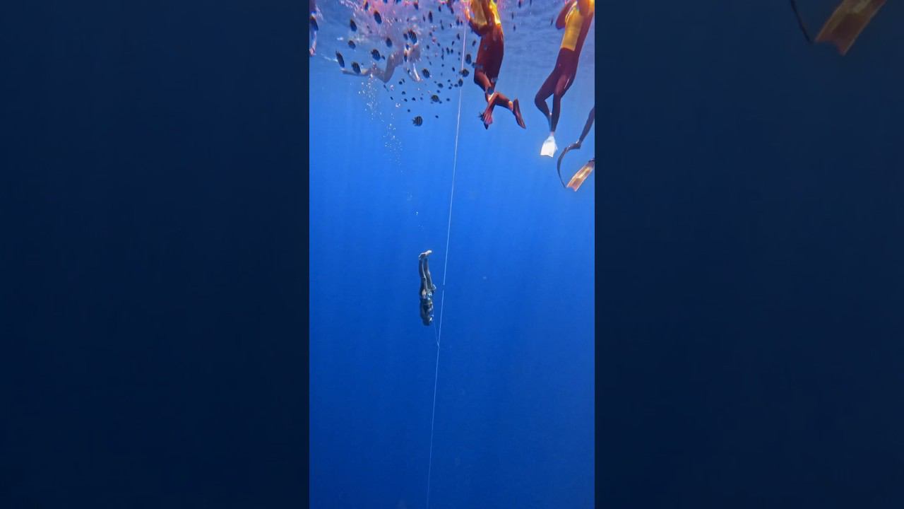 Нырок брассом на соревнованиях #freediving #фридайвинг #apnea #swimming #diving смотреть онлайн