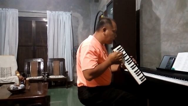 Don't Know What To Do, Don't Know What To Say by Ric Segreto OPM Hits #Melodion M36 SUZUKI スズキメロディオ смотреть онлайн