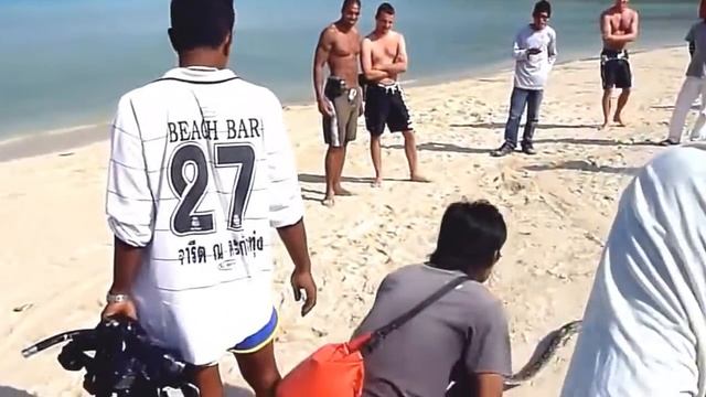 Змея на пляже в Тайланде. Острова Пхи-Пхи. PHI-PHI смотреть онлайн