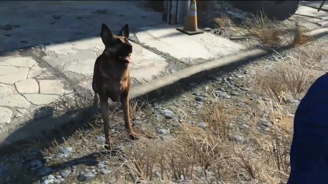 Fallout 4 - Bethesda Fucking Nailed It смотреть онлайн