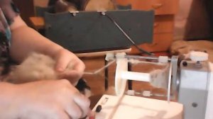 Прялка.Заправка нити.