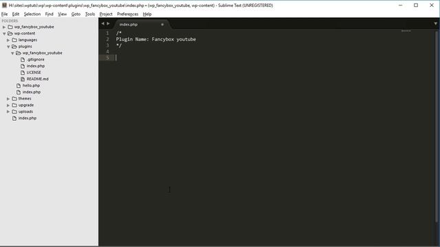 Wordpress создание плагина - Урок 1. Введение в разработку плагинов смотреть онлайн