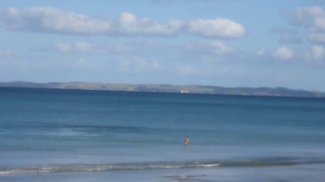 Косатка и пловец (orca and swimmer) смотреть онлайн