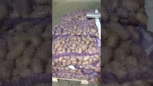 Картофель Гранада 4+ средний калибр смотреть онлайн