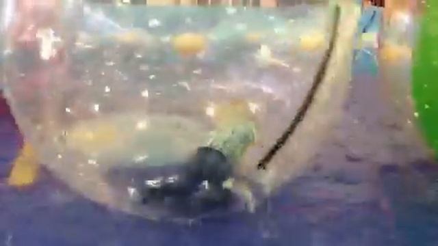 Водные шары в торговом центре прокат смотреть онлайн