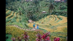 Индонезия  История