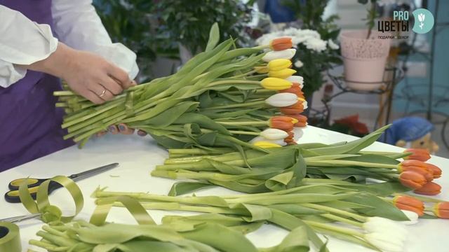 Букет из 79 тюльпанов смотреть онлайн