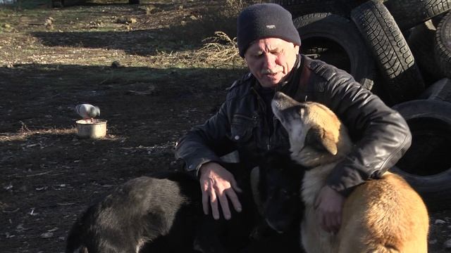 "Безнадзорные собаки" / "Зоопатруль" от 21.11.2023