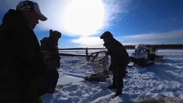Куйуур в Табаге смотреть онлайн