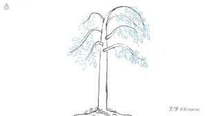 Как пошагово нарисовать березу: инструкция от EvriKak