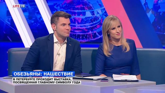 В Петербурге проходит выставка, посвященная обезьянам смотреть онлайн