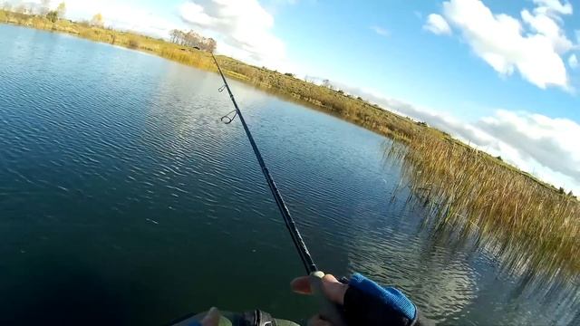 Как ловить на ZipBaits Rigge 70F щуку и окуня / Рыбалка на щуку осенью /ловля щуки весной смотреть онлайн