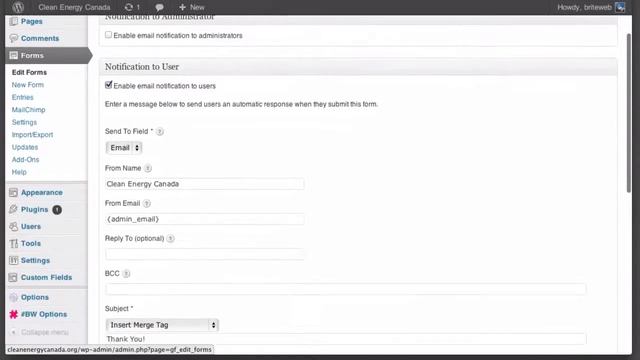 Setting Up Email Notifications In Gravity Forms for Wordpress смотреть онлайн