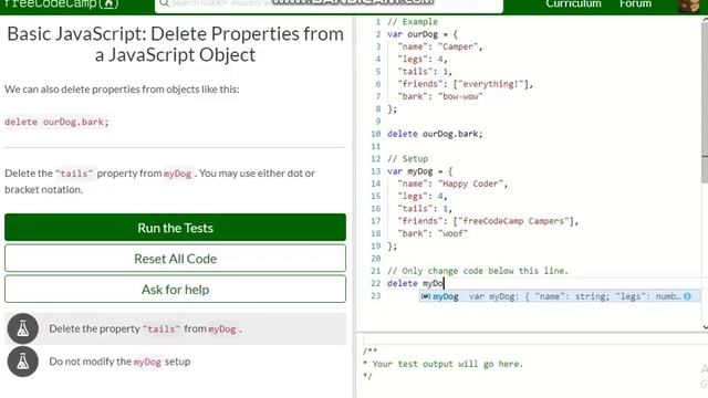 Basic JavaScript Delete Properties from a JavaScript Object free code camp Dani смотреть онлайн