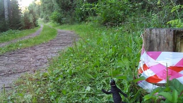 10 min of Kostik # 172 смотреть онлайн