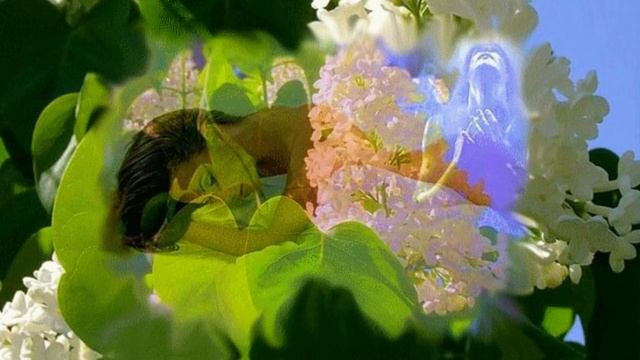 НАКРОЙ МЕНЯ КРЫЛОМ ЛЮБВИ !!! смотреть онлайн