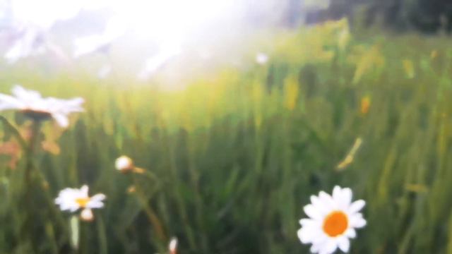 Подробная установка Nexus 3  (со всеми расширениями) 2024.