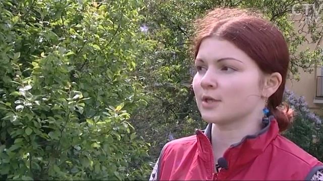 Городские вороны: как к ним относиться? смотреть онлайн