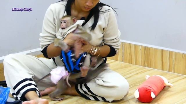 Lil Benjo React To Nouti Haya While He was Disturbed From Haya During Wear Outfit смотреть онлайн