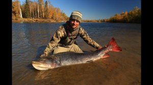 Рыбалка на гигантских тайменей.