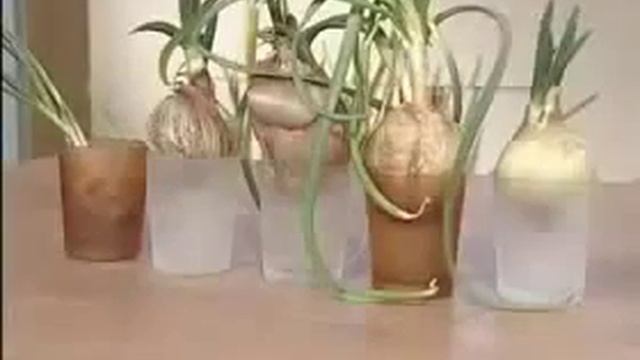 Приключенческие Фильмы