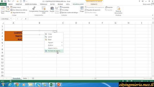 Excel Avanzado 2013: Controles de Formulario смотреть онлайн