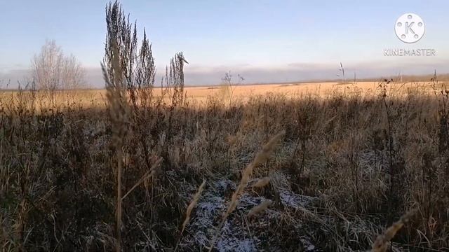 ОХОТА КАПКАНАМИ НА КУНИЦУ!!! Воры одолели!!! смотреть онлайн